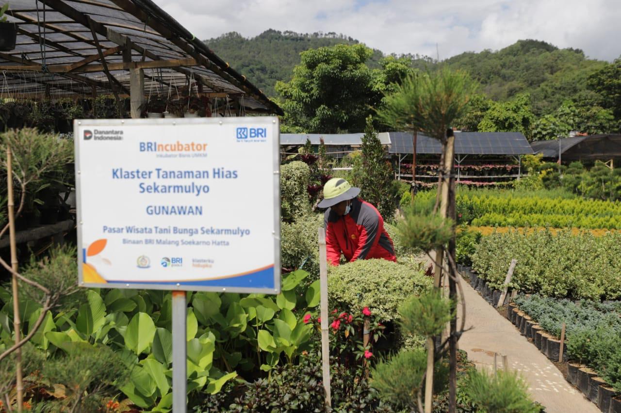 Berbasis Komunitas, BRI Jadi Motor Penggerak 42 Ribu Klaster Usaha Rakyat