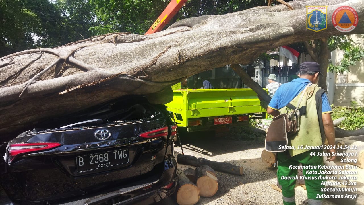 BPBD Bantu Evakuasi Mobil Fortuner yang Tertimpa Pohon di Depan Rumah Prabowo, Ini Penyebabnya