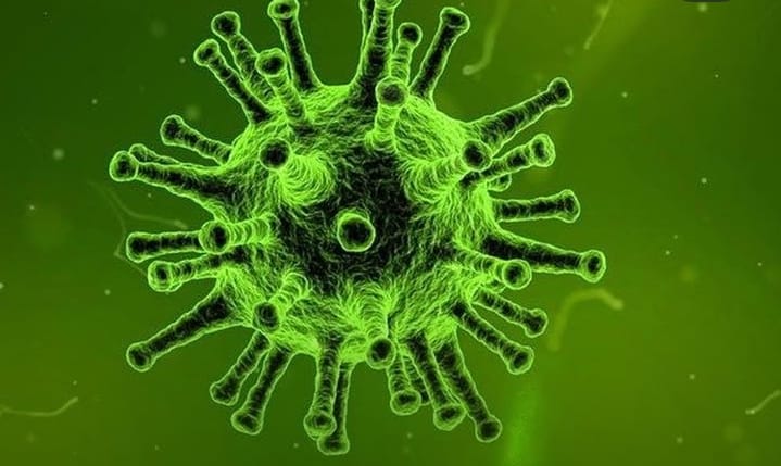 Indonesia Waspada Nipah, BBKK Surabaya Perketat Kedatangan Bandara Juanda