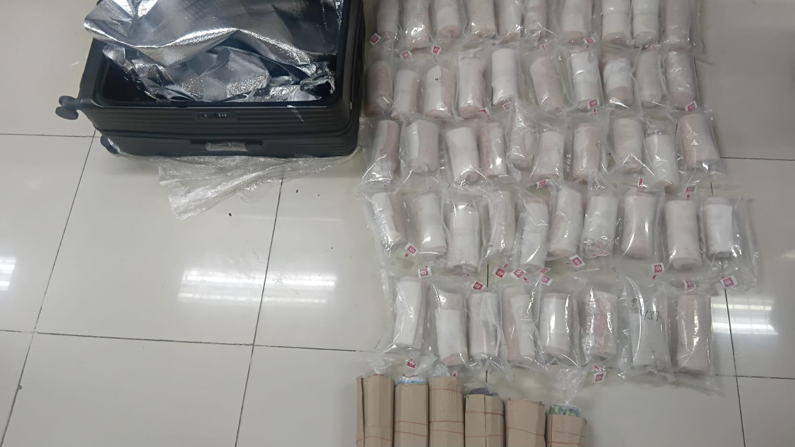 Polisi Bongkar Penyelundupan Benih Lobster di Soetta, Puluhan Ribu Diselamatkan