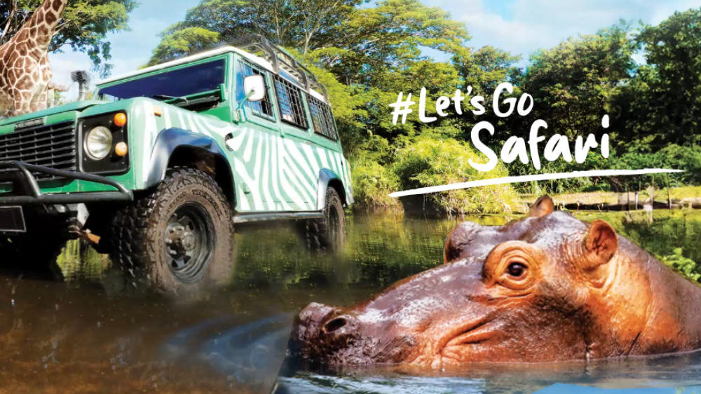 Ada Promo Tiket Masuk Taman Safari Bogor Spesial HUT RI, Yuk Liburan Seru Bareng Keluarga!