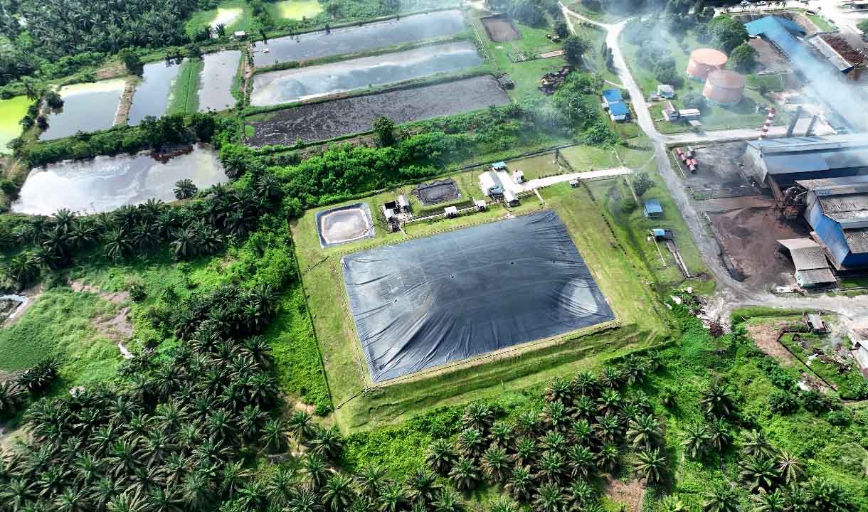 Rp150 Ribu Bisa Beli Karbon Selamatkan Lingkungan, PTPN IV: Limbah Cair Sawit Jadi Biogas Untuk co-Firing