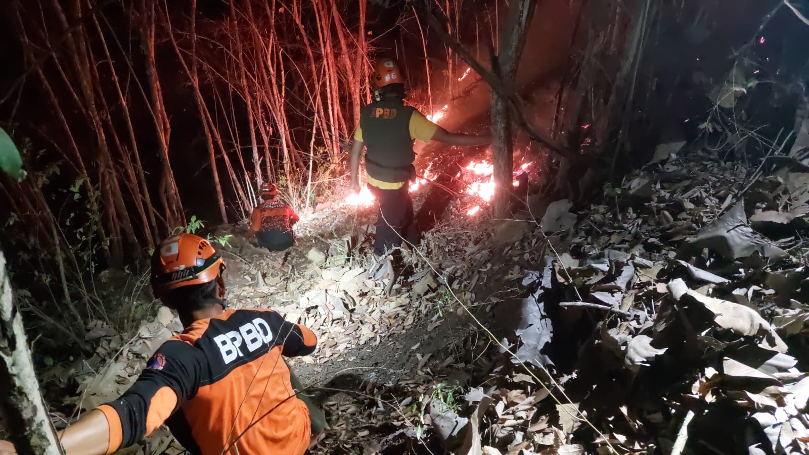 Peta BMKG 7 Juli 2026: Mayoritas Wilayah Indonesia Berstatus Sangat Mudah Terbakar