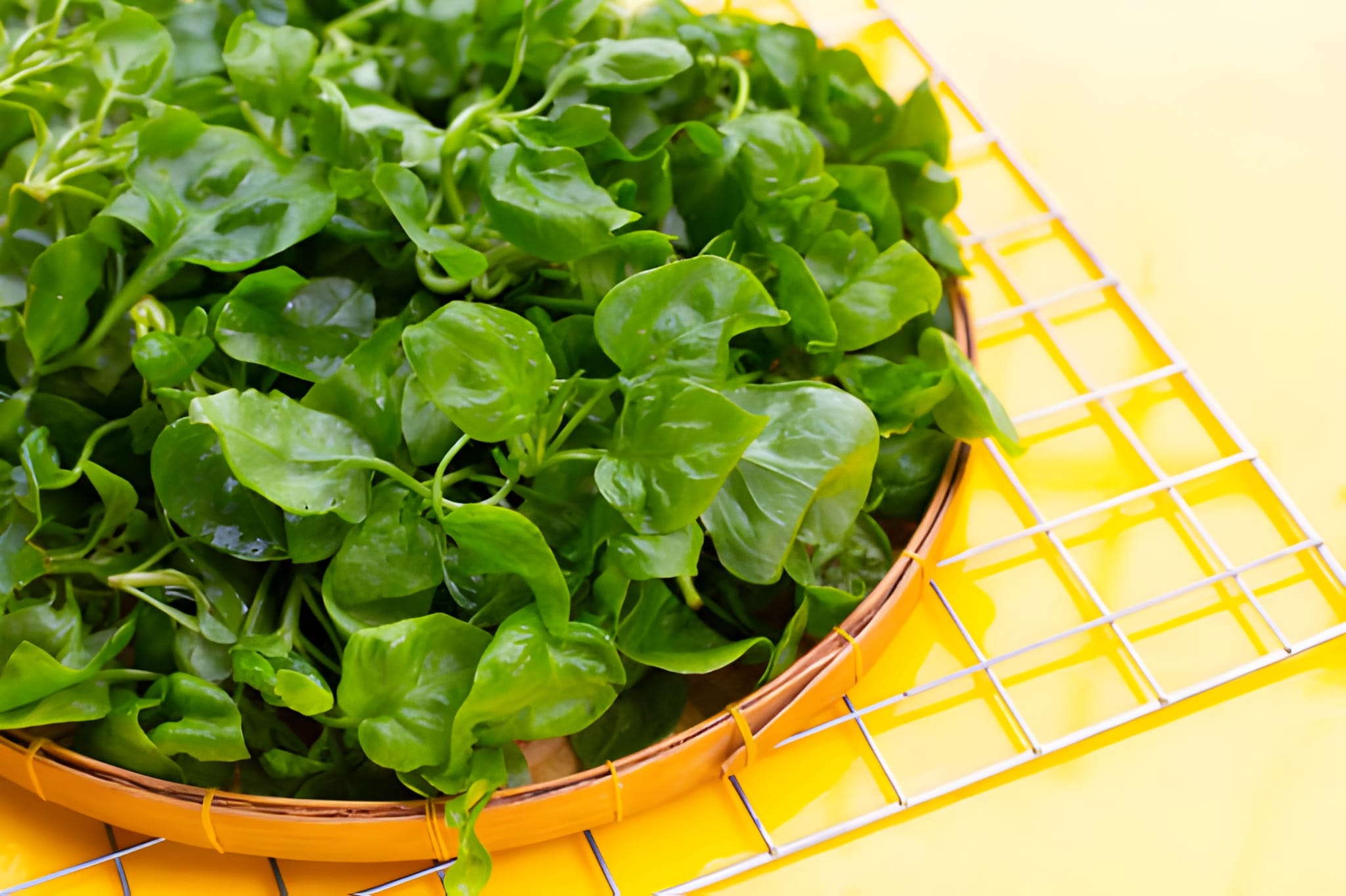 Manfaat Daun Jukut, Sayuran Lokal yang Viral dan Mudah Ditemukan