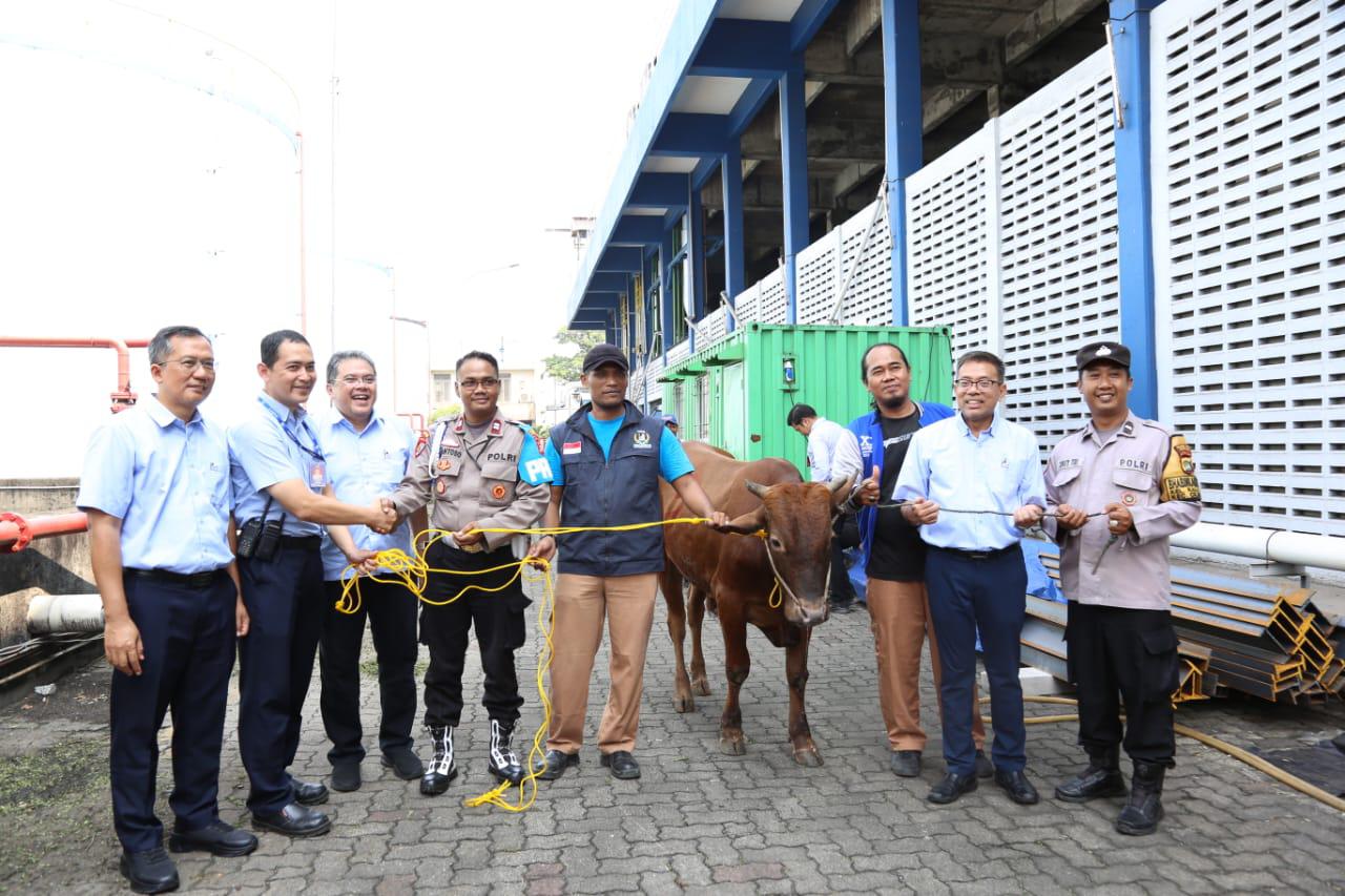 Bogasari Bagikan 66 Hewan Kurban di Idul Adha 1446 H