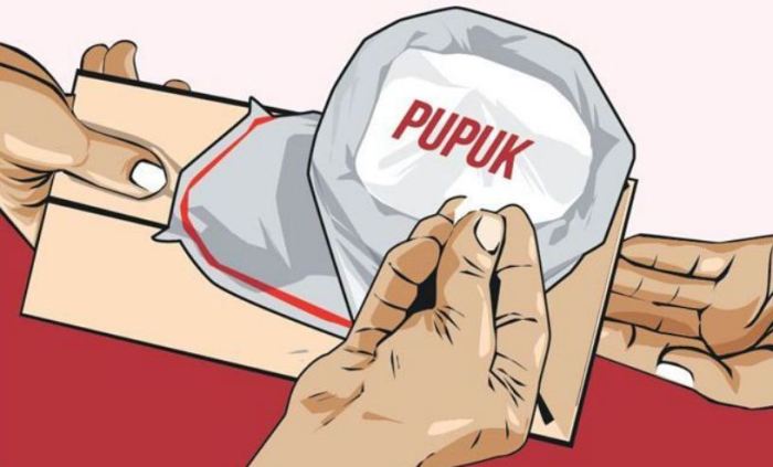 Derita Petani Soal Pupuk Subsidi,  Dibatasi 200 kilogram