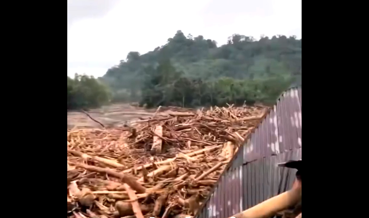 Viral Video Bahlil Singgung soal Negara Maju Babat Hutan, Tuai Hujan Kritik dari Netizen