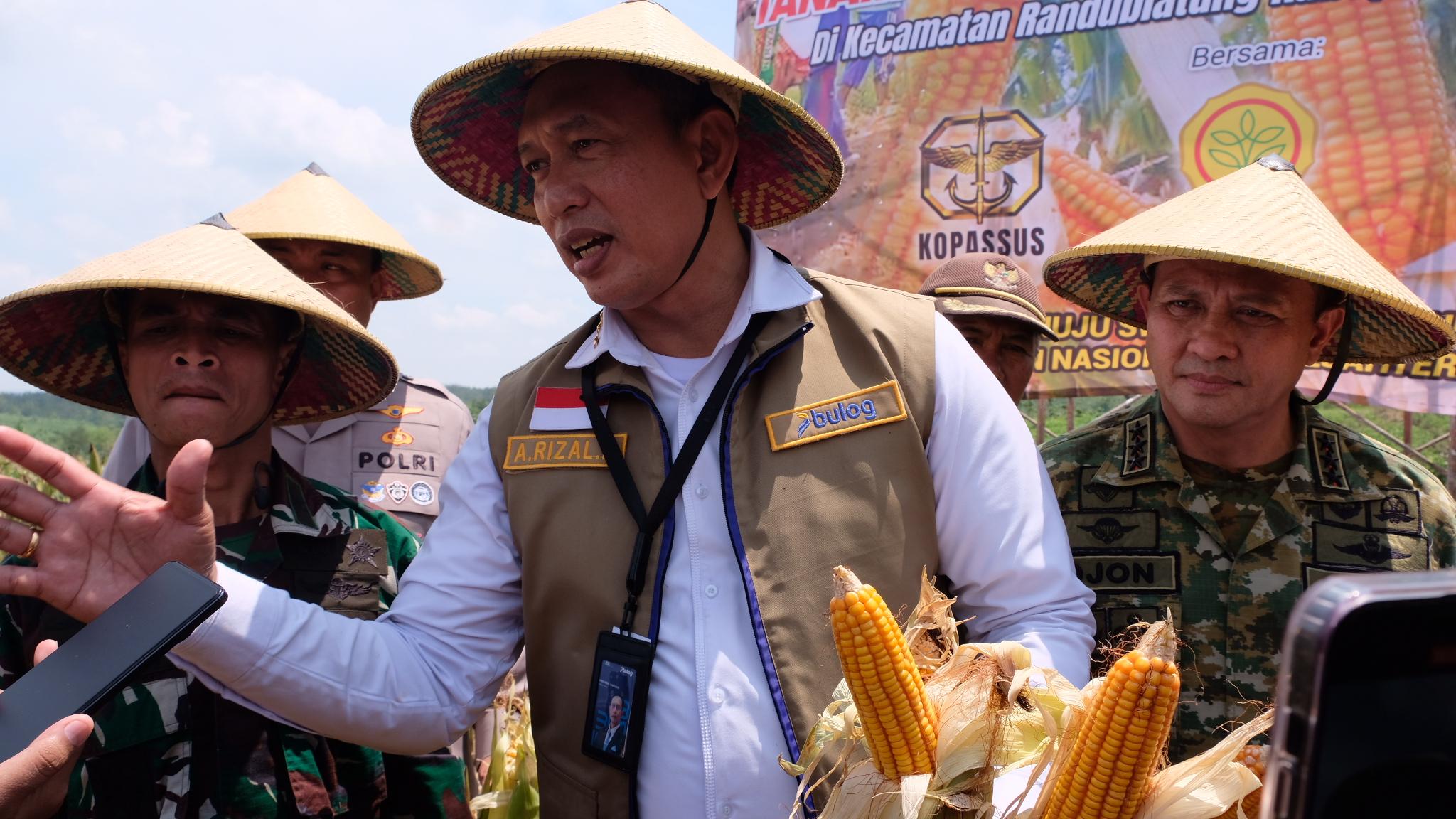 SPHP Jagung 2026 Capai 66 Persen, BULOG Siapkan Tambahan 150 Ribu Ton hingga Desember