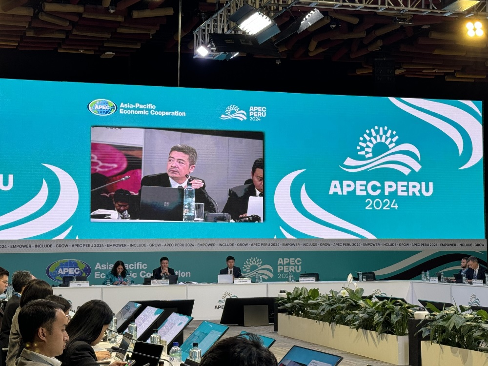 Indonesia Dukung Penuh Keketuaan Peru di APEC 2024, Perkuat Sistem Perdagangan Multilateral 
