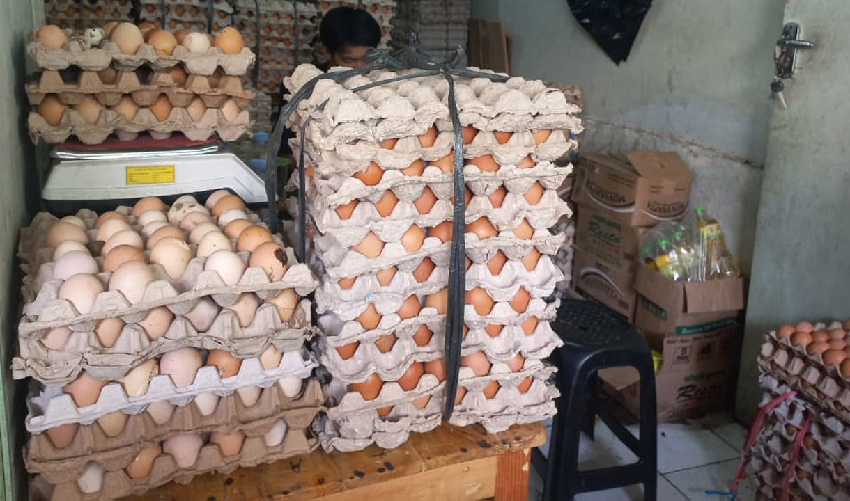 Curhat Peternak Ayam dan Telur Pemasok Program MBG: Omzet Meroket Hingga 100 Persen