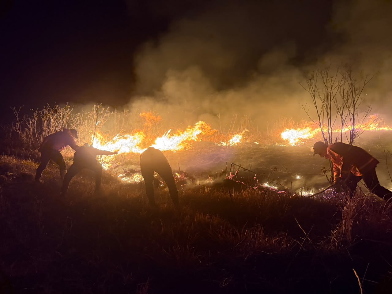 Update Kebakaran Gunung Bromo Hari ke-13, 1.069 Hektare Terbakar, Akses Masih Ditutup Total