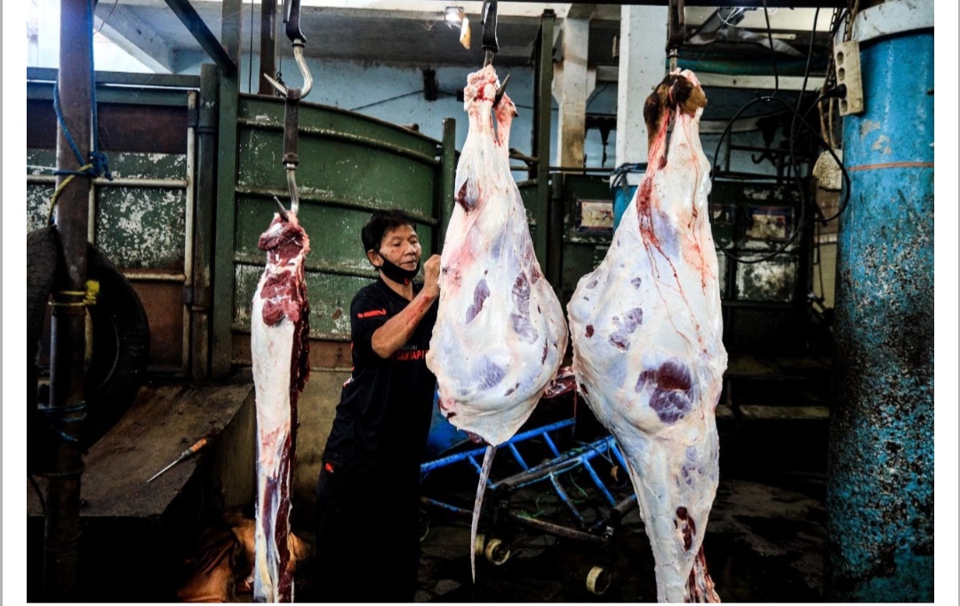 Musnahkan 369 Kilogram Jeroan Sapi dan Domba Afkir, Pemkot Bandung Temukan Ini 