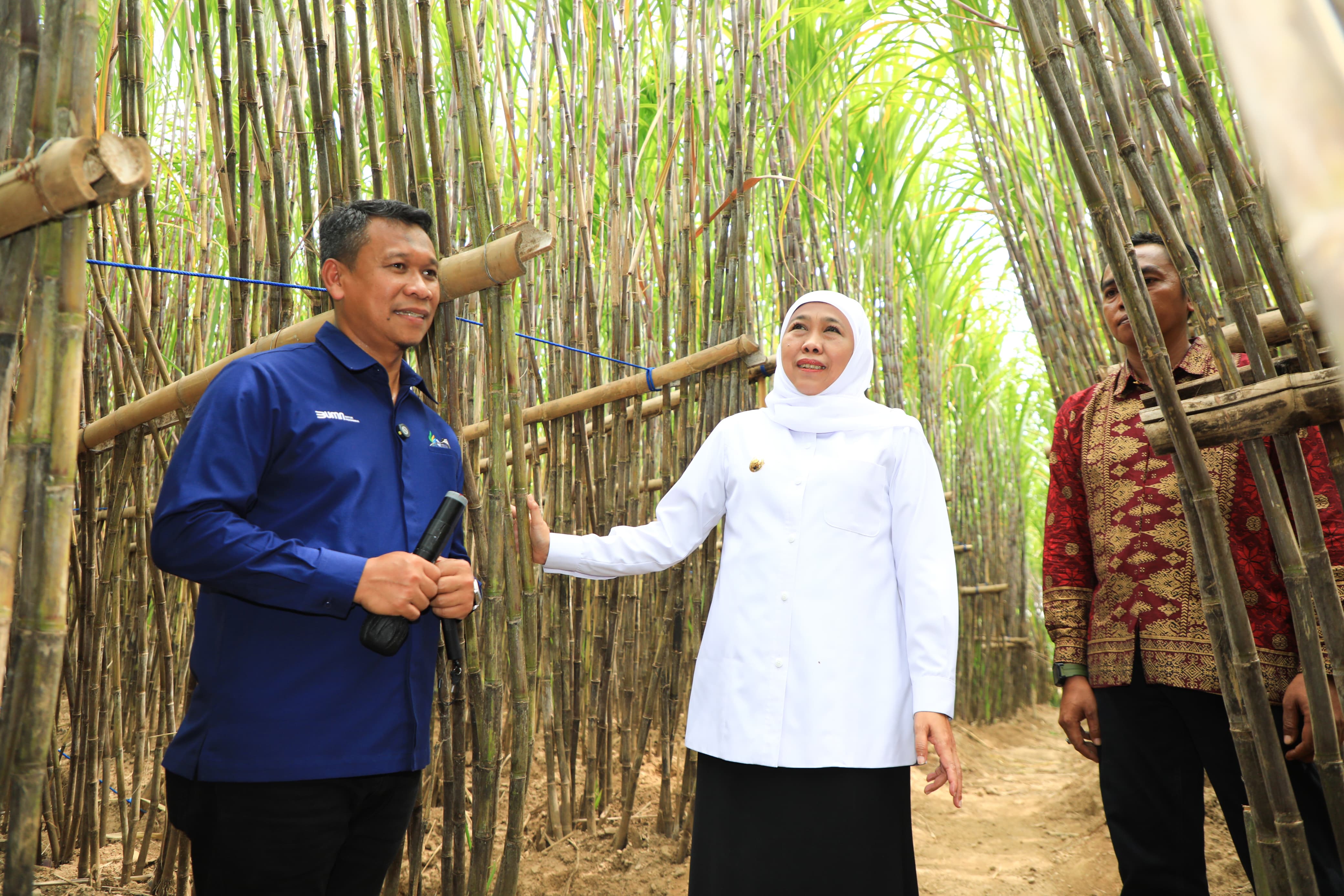 Pemprov Jatim Berikan KURsus Kluster Petani Tebu