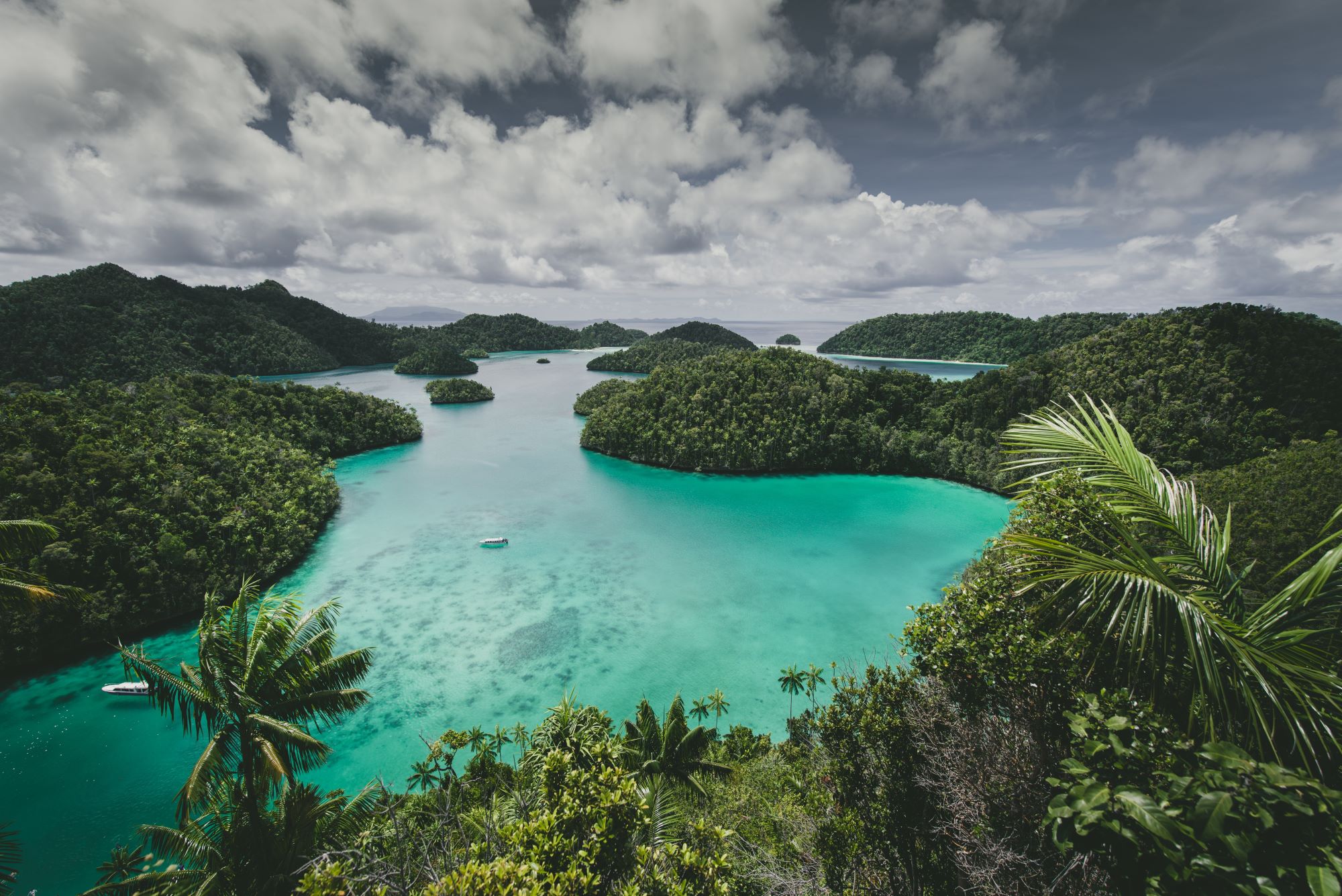 BRIN Usulkan Raja Ampat Menjadi Cagar Biosfer di Bawah MAB UNESCO