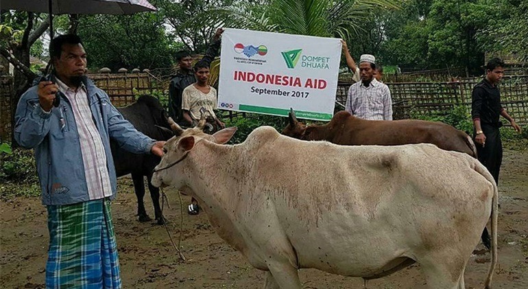 Dompet Dhuafa Tebar Hewan Kurban Hingga Palestina, Somalia, dan Myanmar