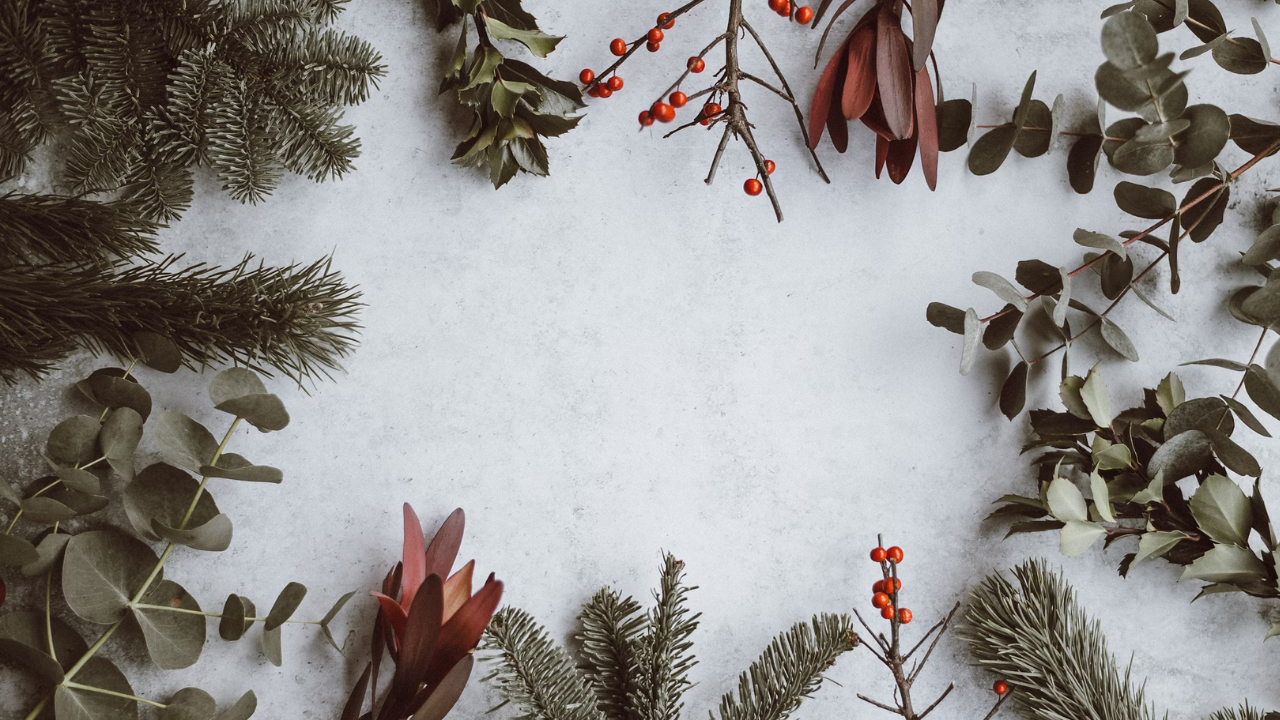 10 Puisi Natal 2024 tentang Kelahiran Yesus Kristus Penuh Makna dan Menyentuh Hati