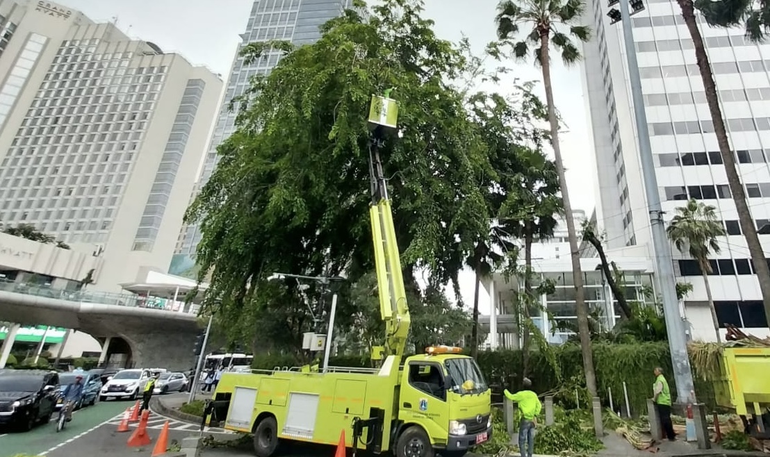 Waspada Cuaca Ekstrem Desember-Januari, 70 Ribu Pohon Rawan Tumbang di Jakarta Dipangkas