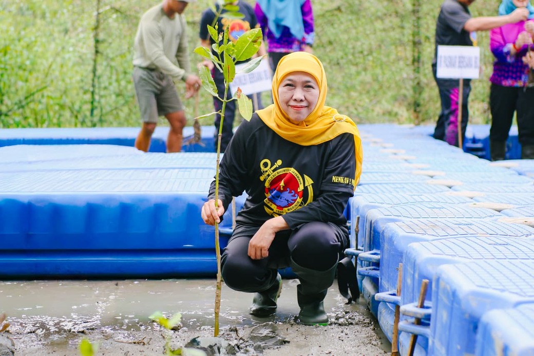 Sinergi Jaga Pesisir, Khofifah Bersih Pantai dan Tanam 1.200 Mangrove di Kenjeran