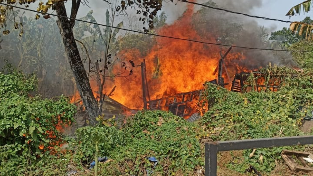 Kebakaran Kandang Kambing di Kembangan Diduga akibat Bakar Sampah, 37 Ekor Terbakar