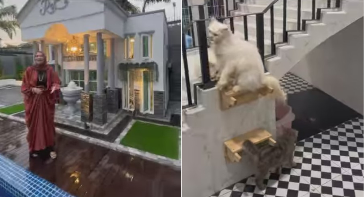 Majik Ini Memang Spesial, Ketika Kucing Sultan Punya Rumah Sendiri: Besar dan Megah Banget!