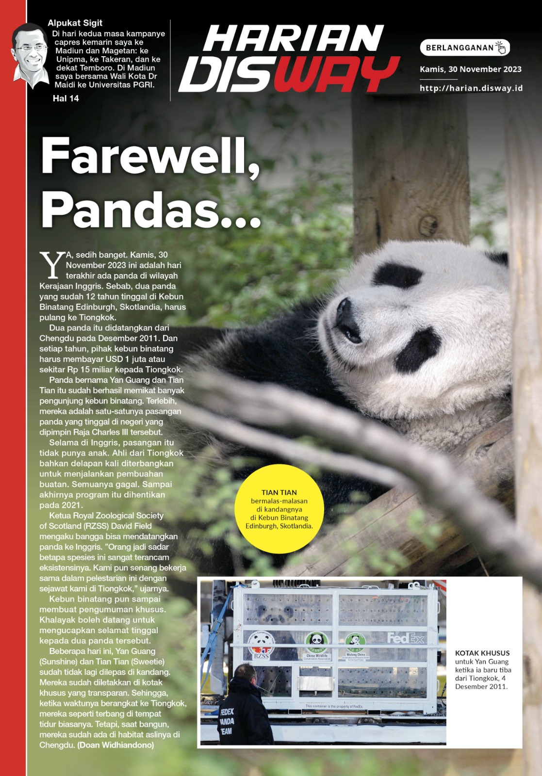 Farewell, Pandas…