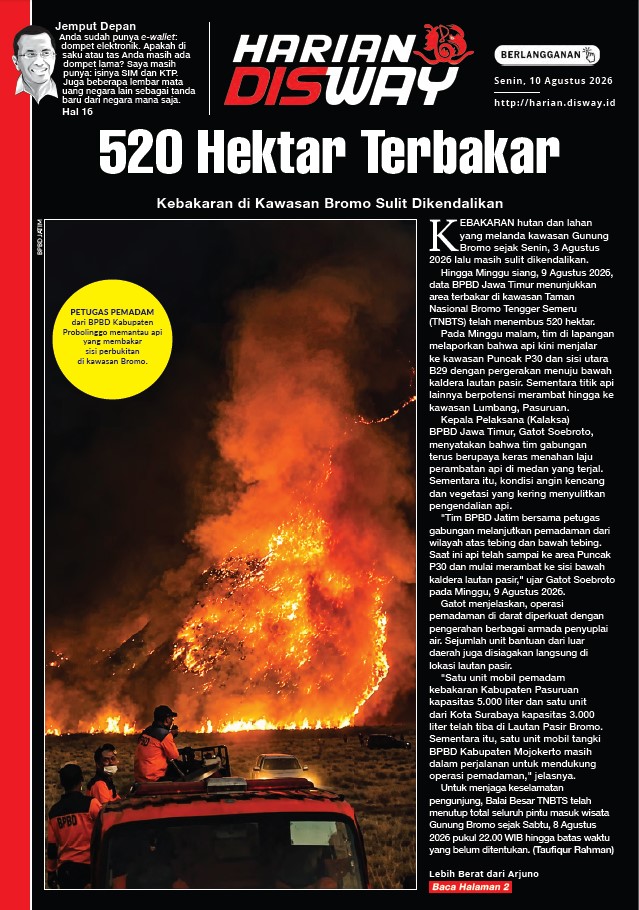 520 Hektar Terbakar