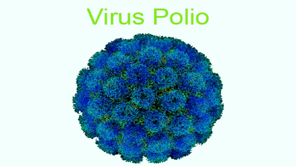 Muncul 3 Kasus Anak Lumpuh Layu Dipicu Virus Polio, Terbaru di Jatim