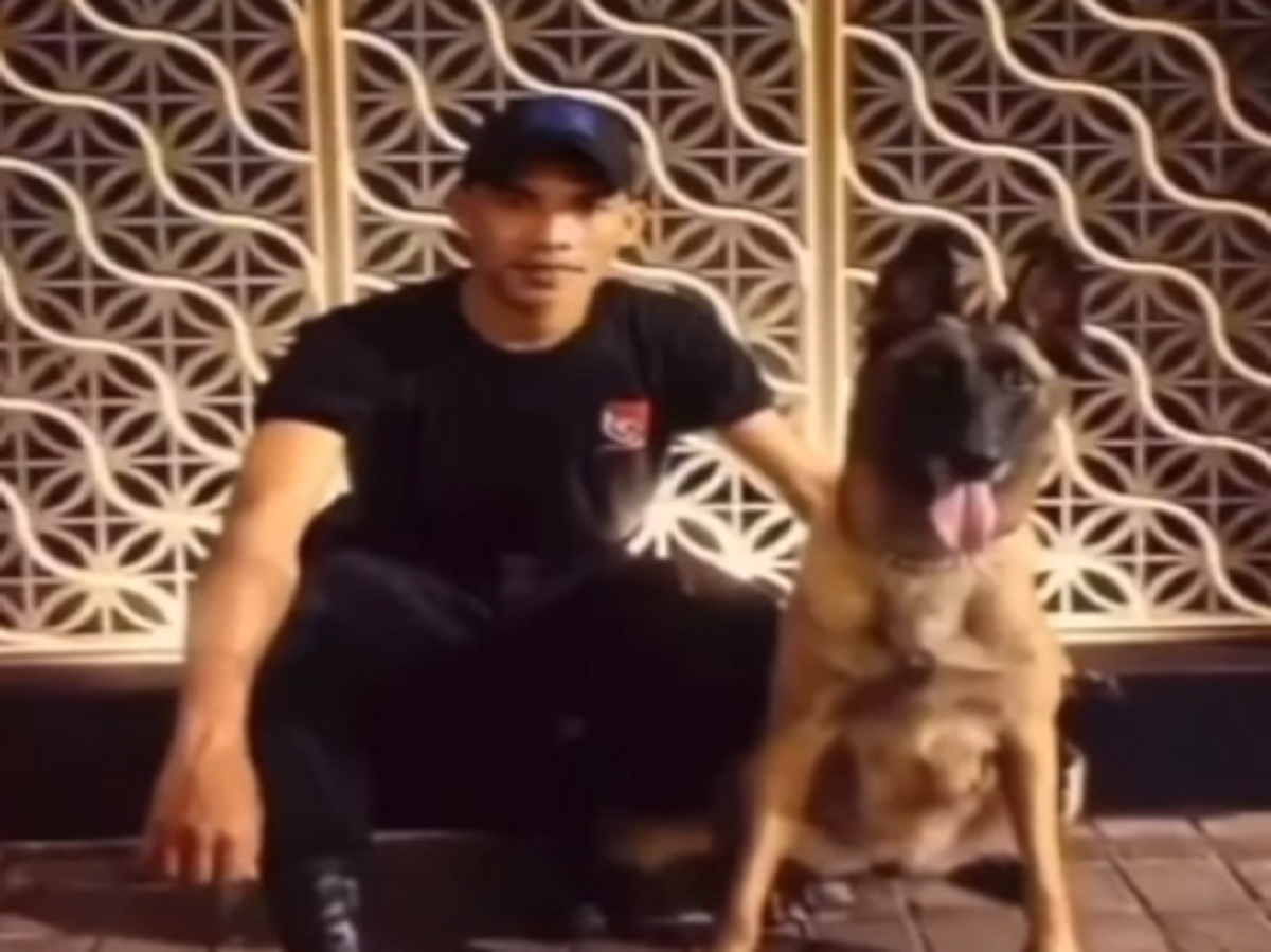 Robby Purba Bikin Satpam Plaza Indonesia Dipecat? Nikita Mirzani: Gegara Anjing Gigit Kucing Orang Jadi Pengangguran!