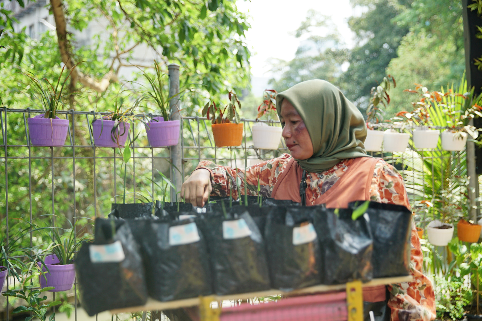 Program BRInita Bikin Kampung Palm Eco Green Village Malang Makin Asri