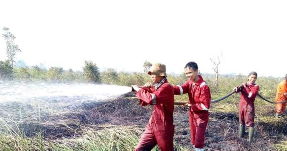 Tanjabtim Siagakan 4 Posko Darurat Karhutla