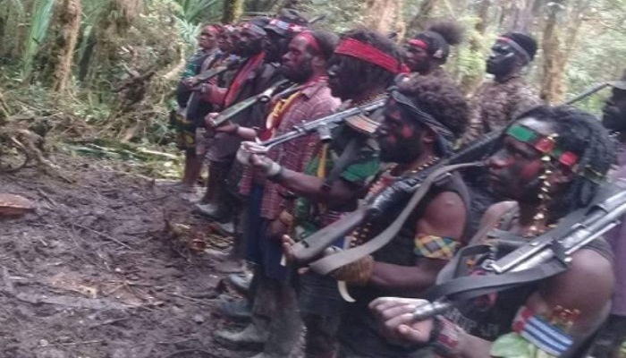 KKB Papua Adang Rombongan TNI, 2 Prajurit Tertembak