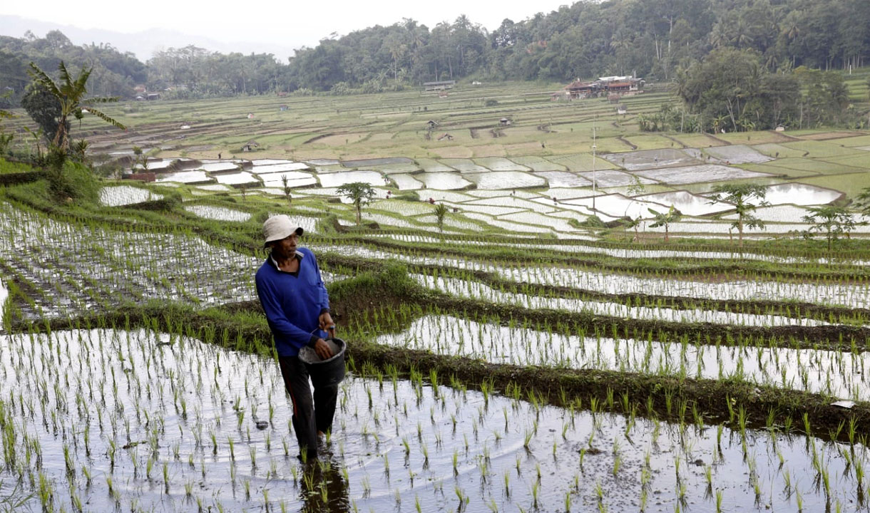 Menghadapi Gejolak Global, Mengakselerasi Ekspor Pertanian