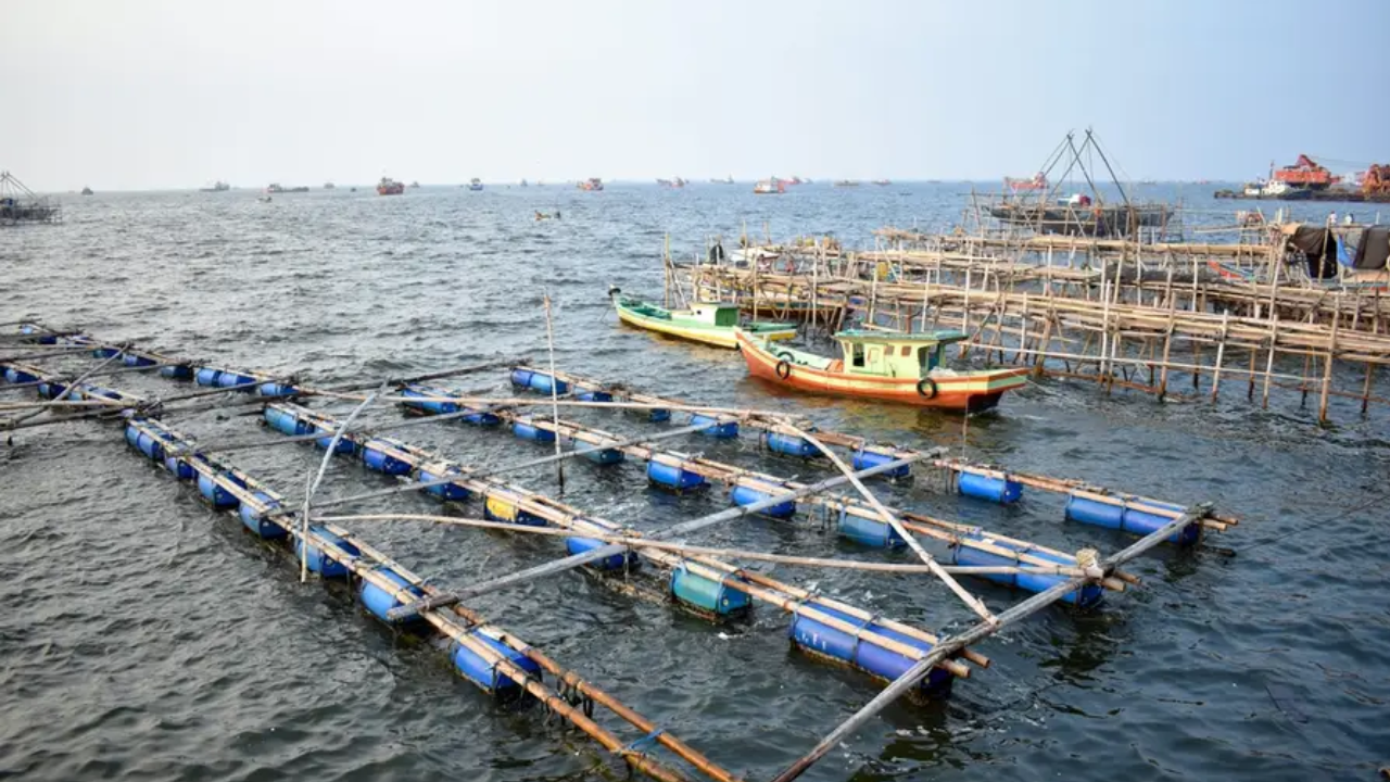 5 Wisata Pantai Terdekat dari Bekasi yang Murah Meriah untuk Liburan Nataru, View Eksotis Manjakan Mata!