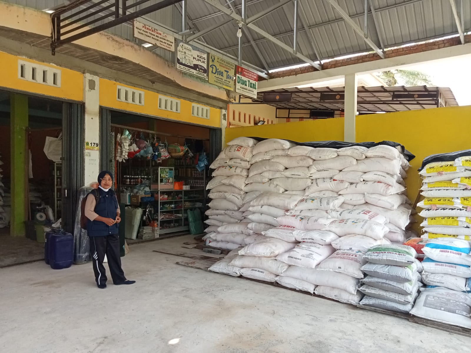 Petani Menjerit. Harga Pupuk dan Racun Naik Dua Kali Lipat
