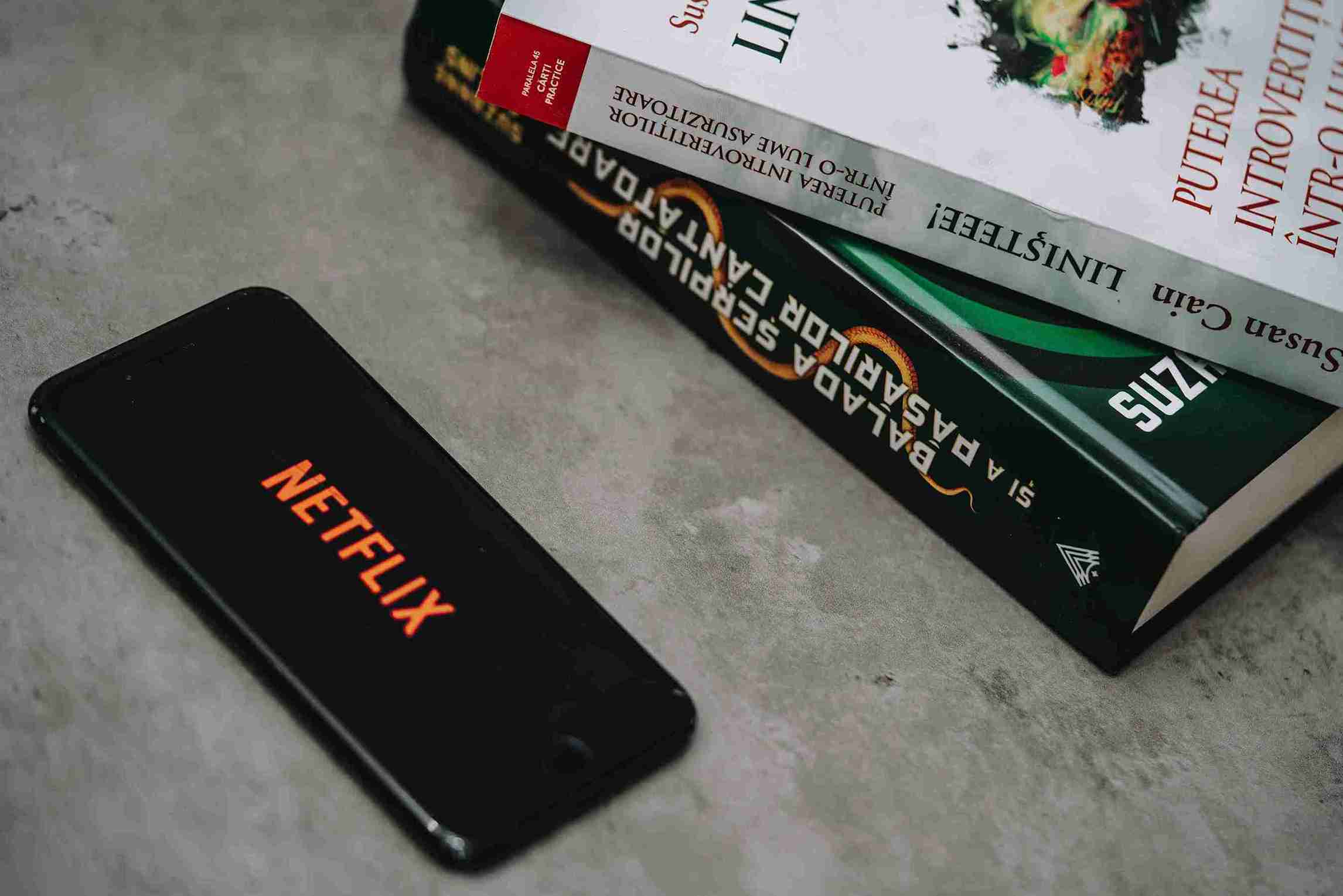 Resmi! Netflix dan Spotify akan dikenakan PPN sebesar 12 Persen Per 1 Januari 2025