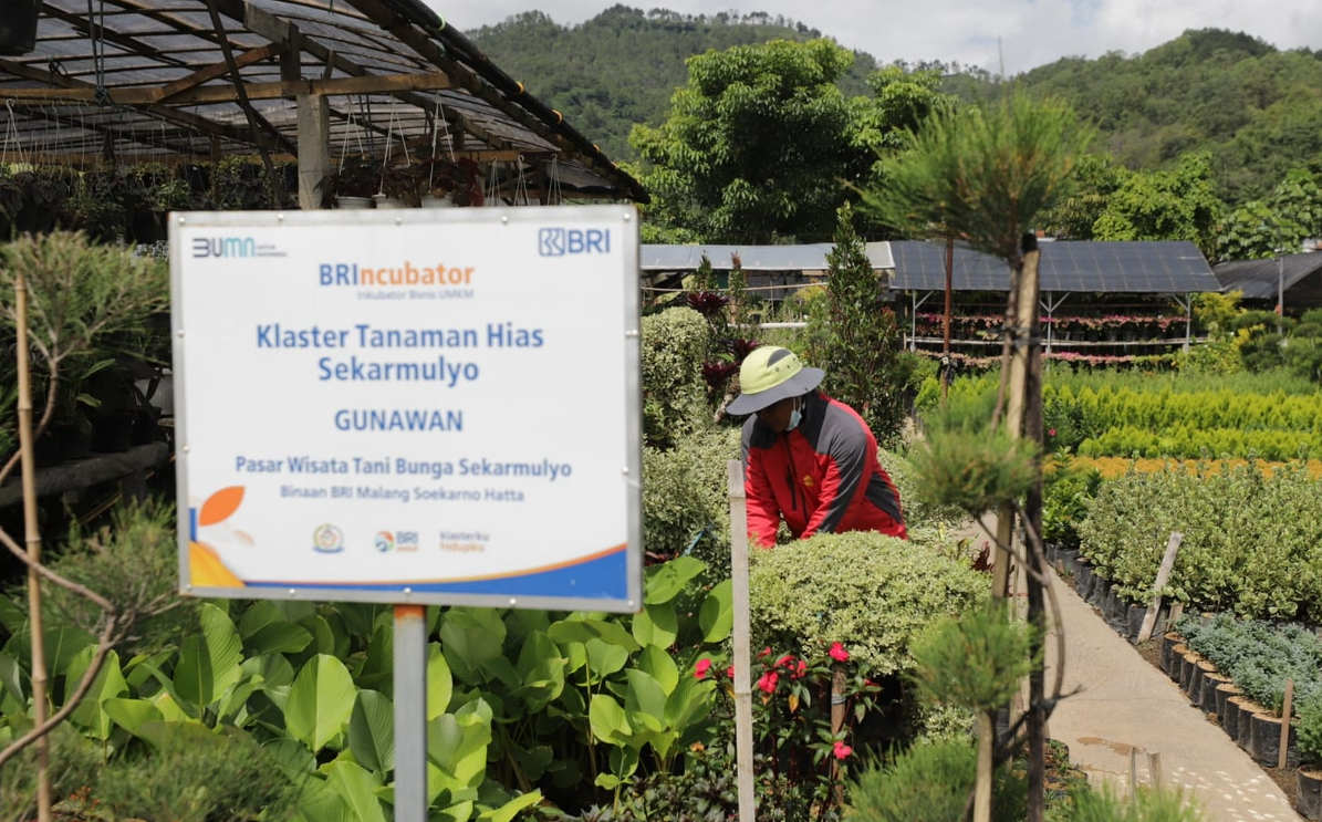 Terbesar di Indonesia, Portofolio Sustainable Finance BRI Tembus Rp796 Triliun