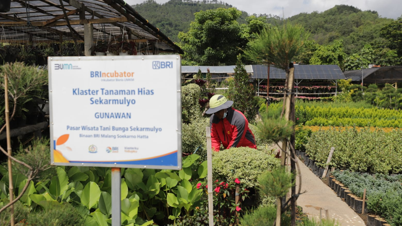 Portofolio Sustainable Finance BRI Tembus Rp 796 Triliun, Terbesar di Indonesia!