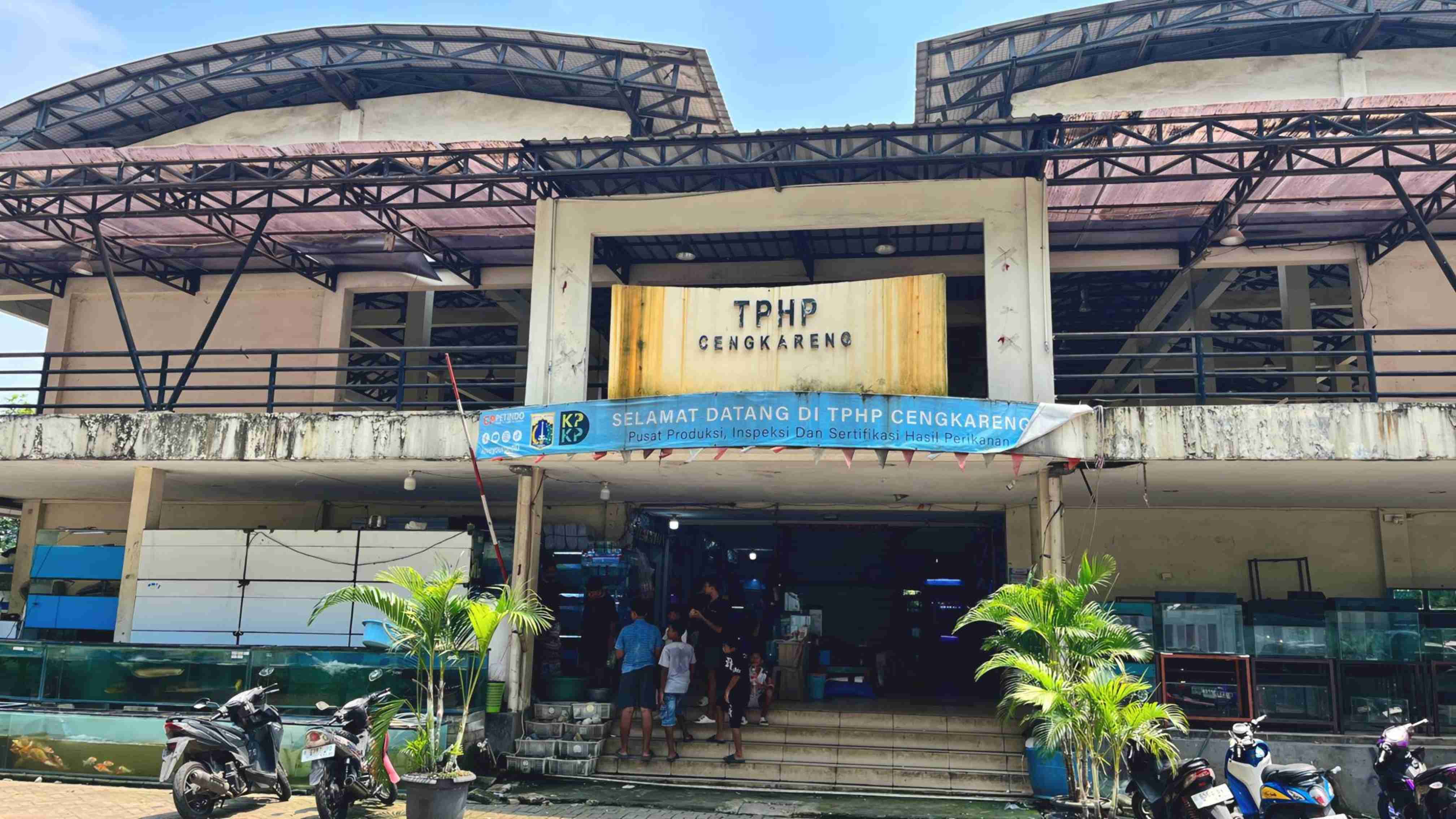 Dulu Primadona, Kini Sunyi: Jeritan Pedagang Ikan Hias TPHP Cengkareng yang Sepi Pembeli
