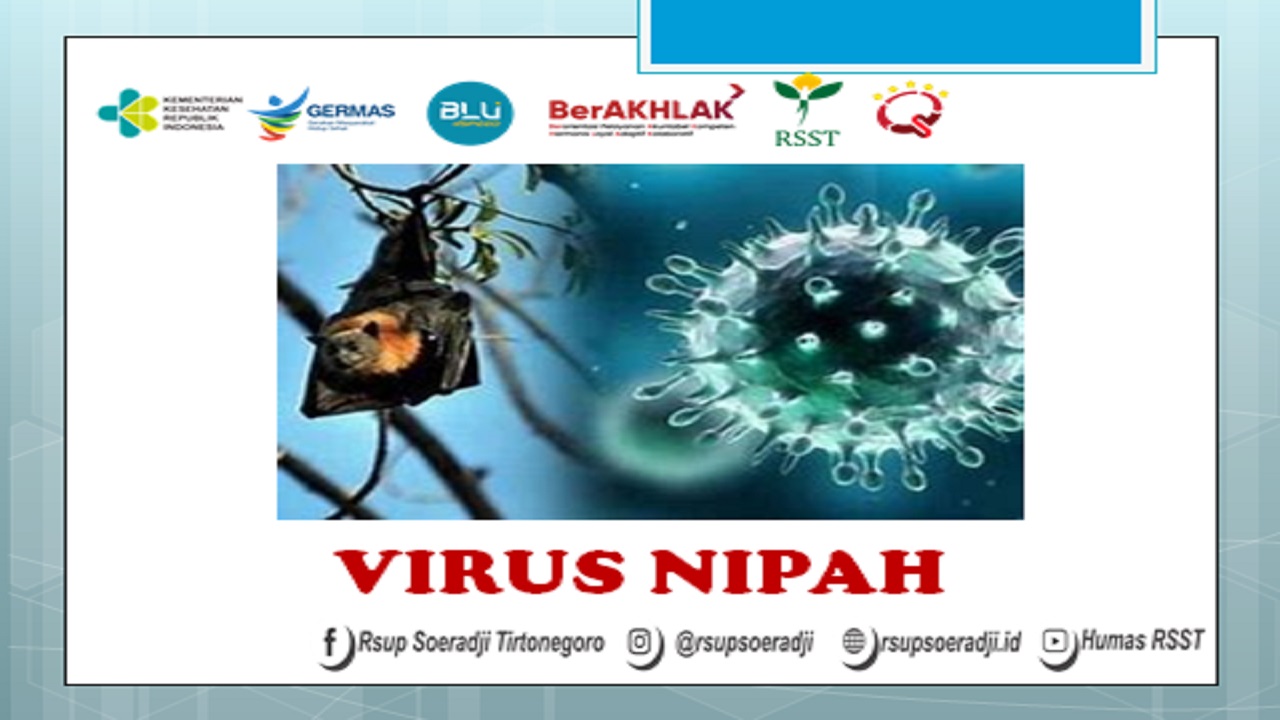 Lebih Kenal tentang Virus Nipah: Asal, Cara Penularan, Gejala, dan Cara Mencegah