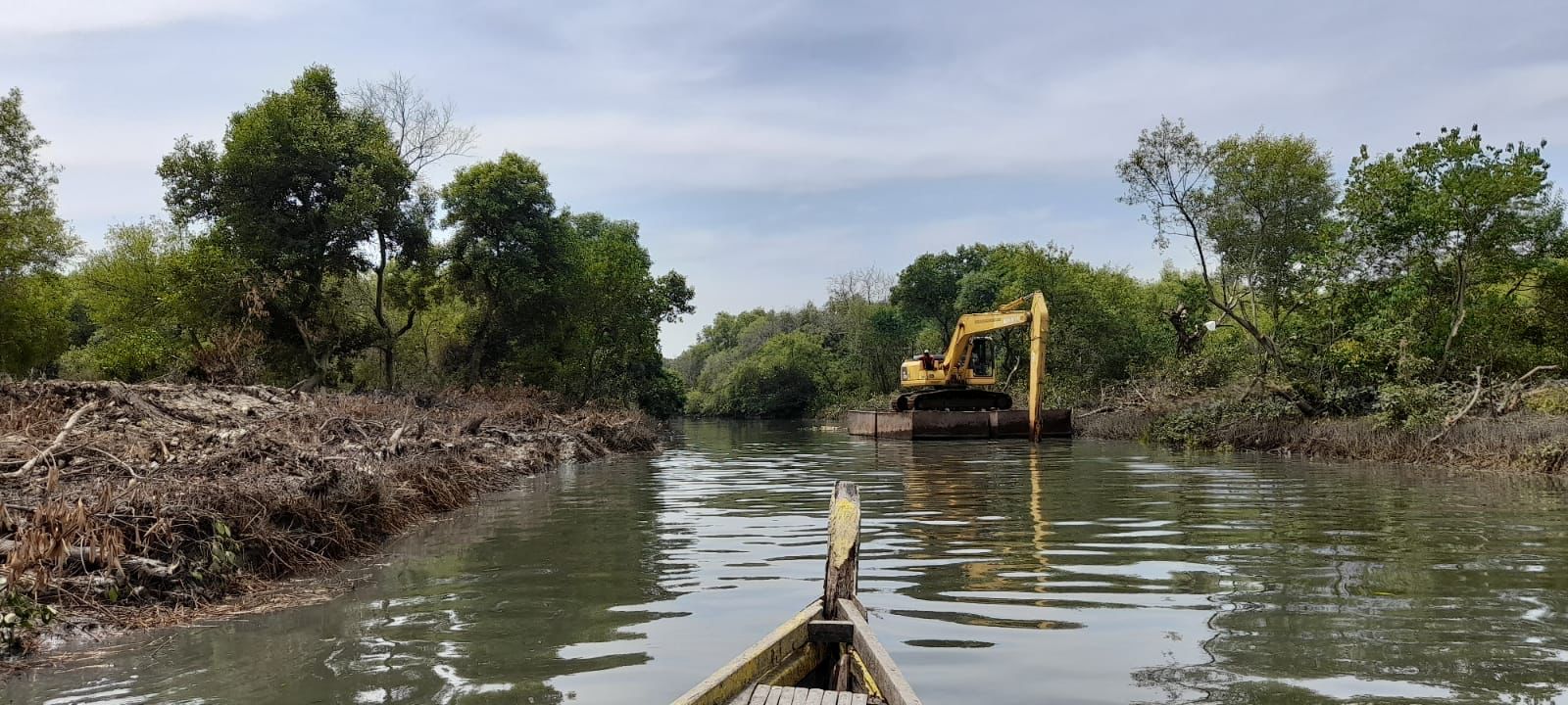 Jawaban Pemkot Surabaya Soal Pembabatan Mangrove Wonorejo: Mengembalikan Lebar Sungai 