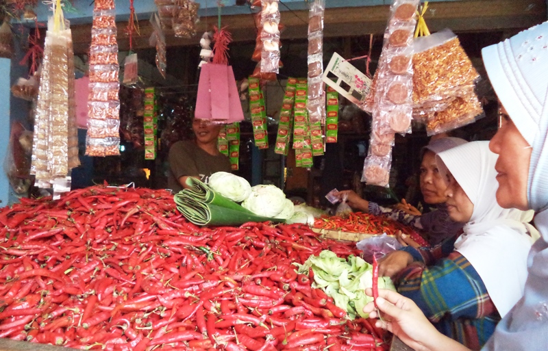 Harga Cabai Semakin “Pedas”