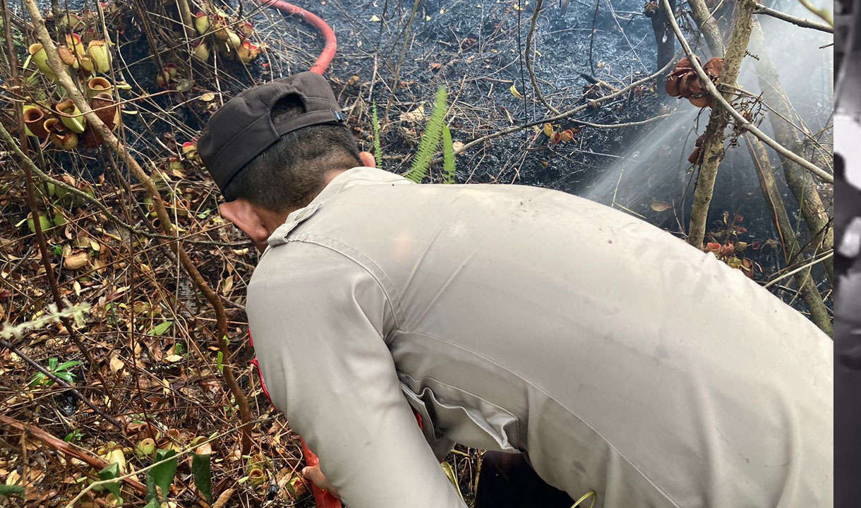 Api Kebakaran Hutan Ancam Warga Kampar, Kapolres Kampar: Penyebaran Api Sangat Tinggi