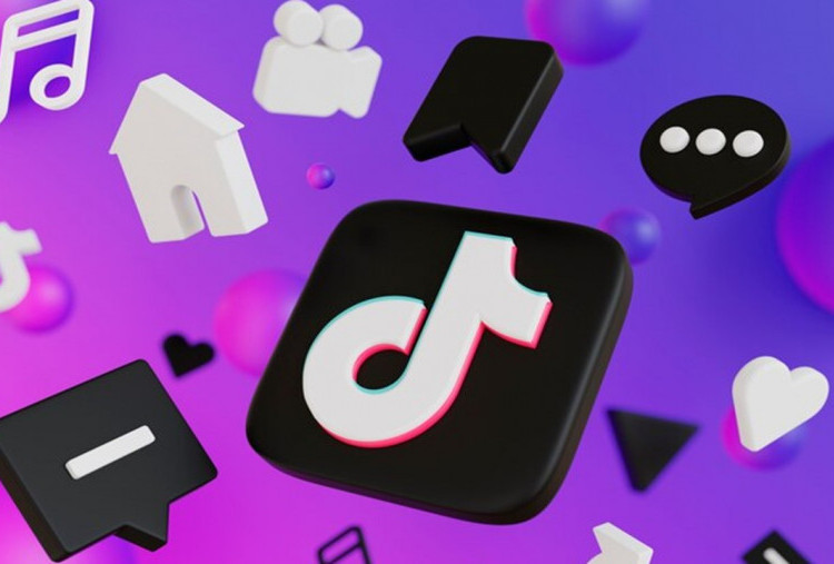 Komisi I DPR Soroti Pembekuan Izin TikTok, Minta Penegakan Hukum Tak Matikan UMKM Digital