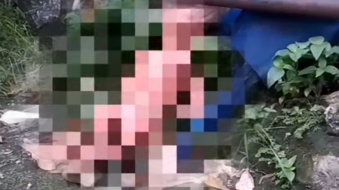 Geger Bayi Dibuang dalam Kondisi Ari-ari Menempel, Pelaku Ditangkap!