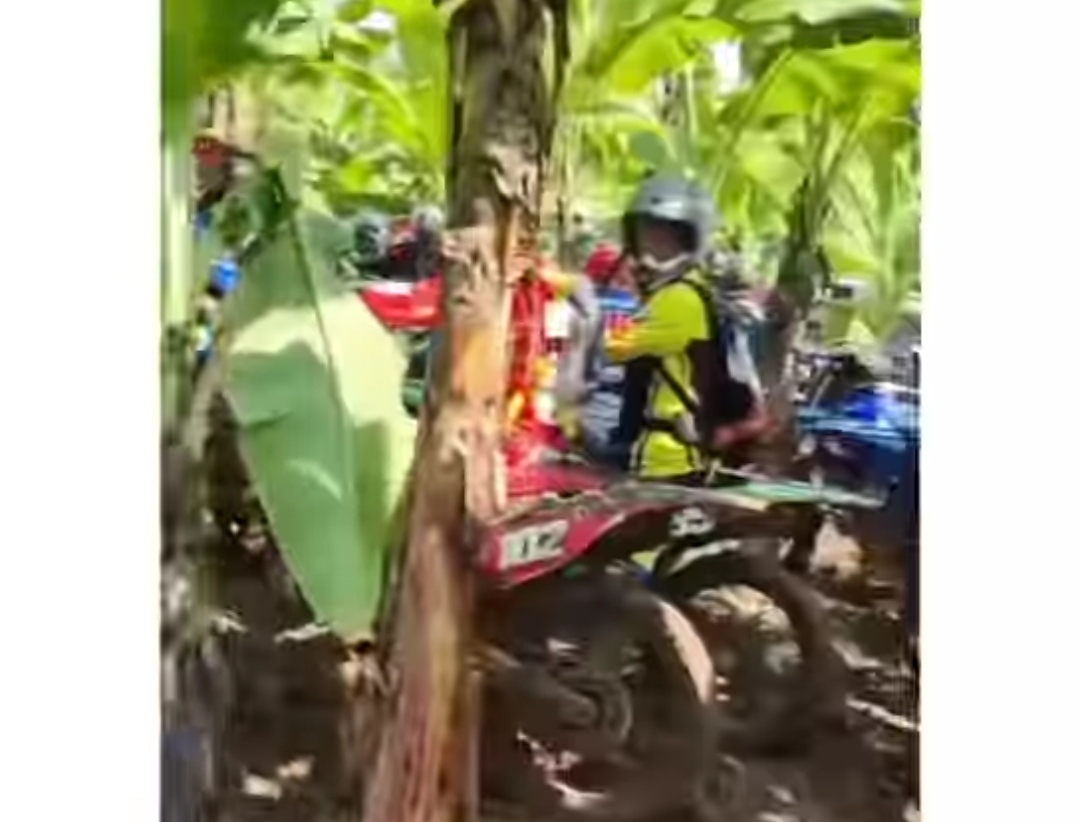Viral! Komunitas Trail Trabas Rusak Kebun Pisang di Bandung Undang Kemarahan Netizen: Jangan Dzolim