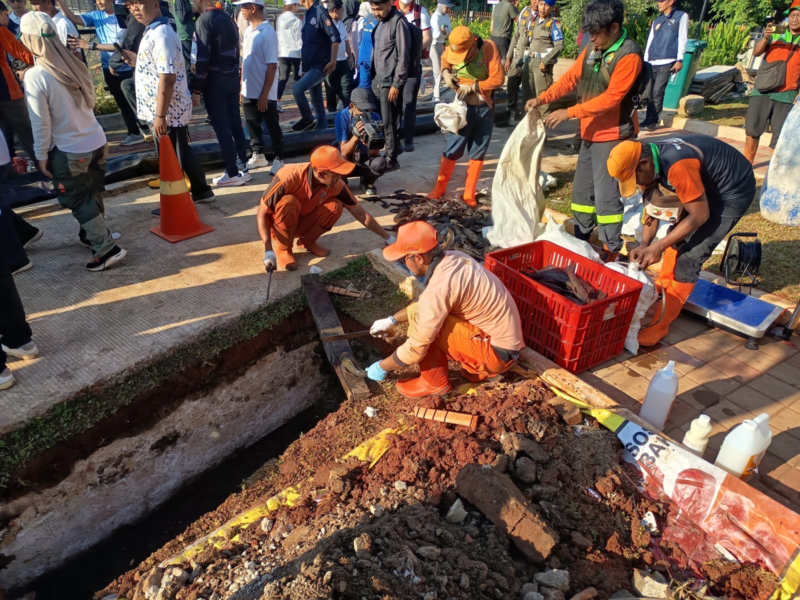 Pemkot Jaktim Basmi Ratusan Kg Ikan Sapu-Sapu di Ciracas