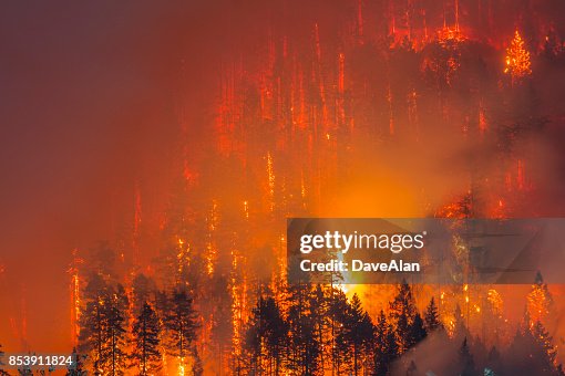 Kebakaran Hutan Landa Oregon, Amerika Serikat, Cuaca Ekstrem Hambat Pemadaman