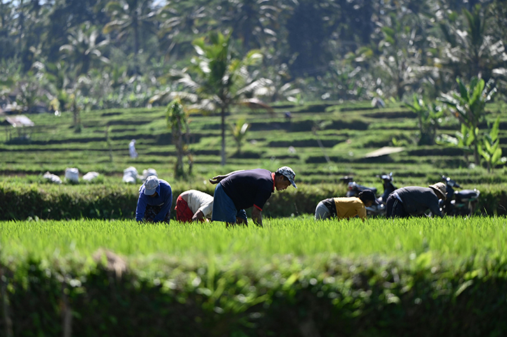  Khasanah Ramadan (29): Memelihara Negara dari Desa