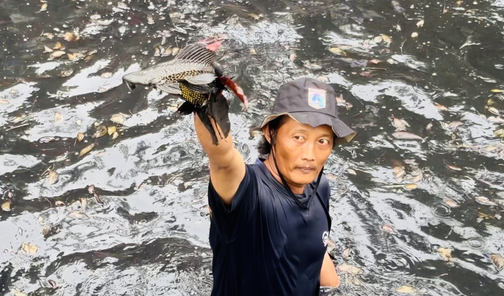 60% Sungai Jakarta Dikuasai Ikan Sapu-Sapu, 68 Ribu Ekor Ditangkap di 5 Wilayah