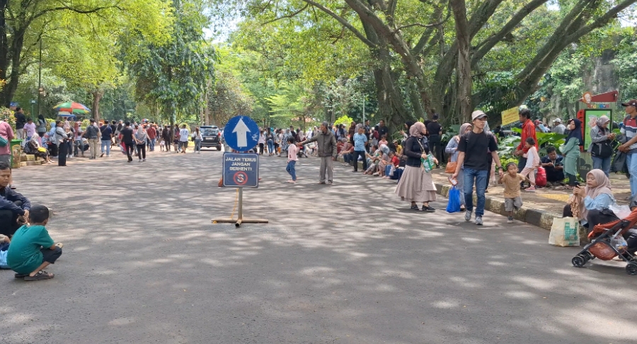 Pengunjung Ragunan Capai 100 Ribu Orang di Libur Tahun Baru